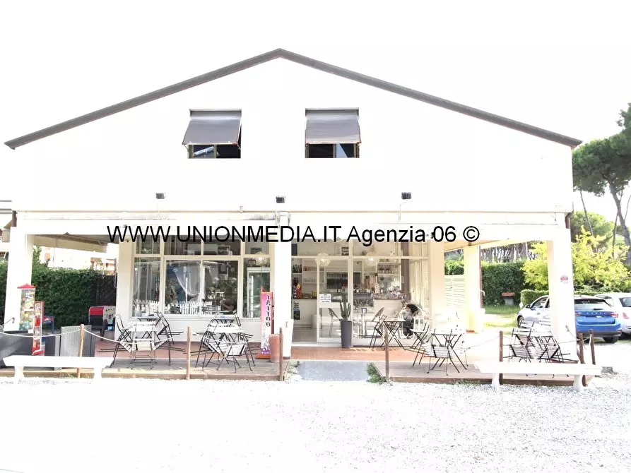 casa indipendente in vendita a Massa in zona Marina di Massa