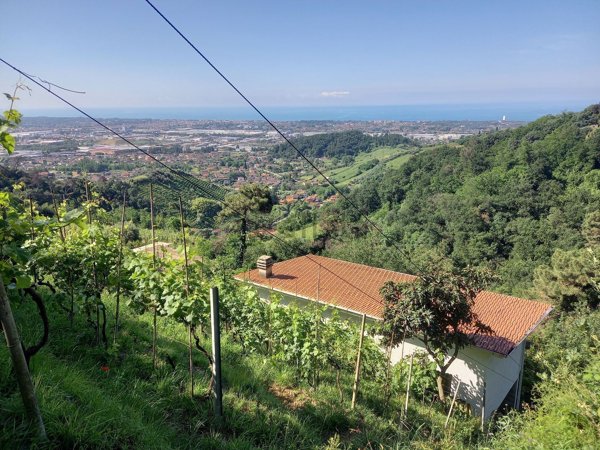 appartamento in vendita a Massa in zona Candia