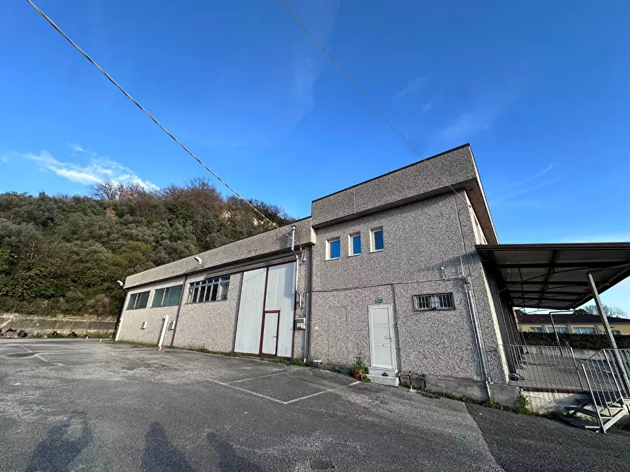 negozio in vendita a Massa