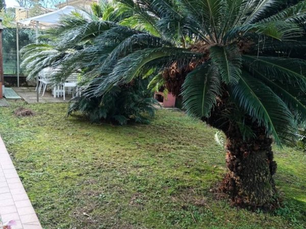 appartamento in vendita a Massa in zona Marina di Massa