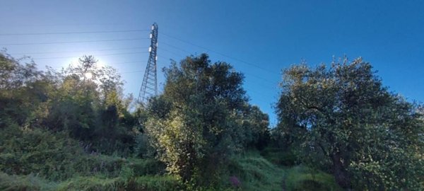 terreno agricolo in vendita a Massa