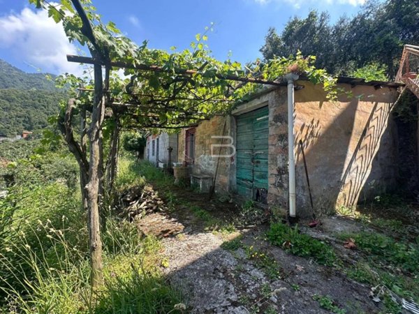 terreno agricolo in vendita a Massa in zona Bargana