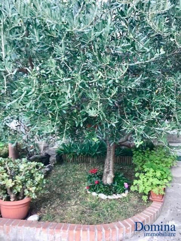 casa indipendente in vendita a Massa in zona Centro Storico