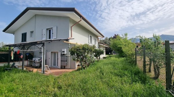 esavano in vendita a Massa in zona Poveromo