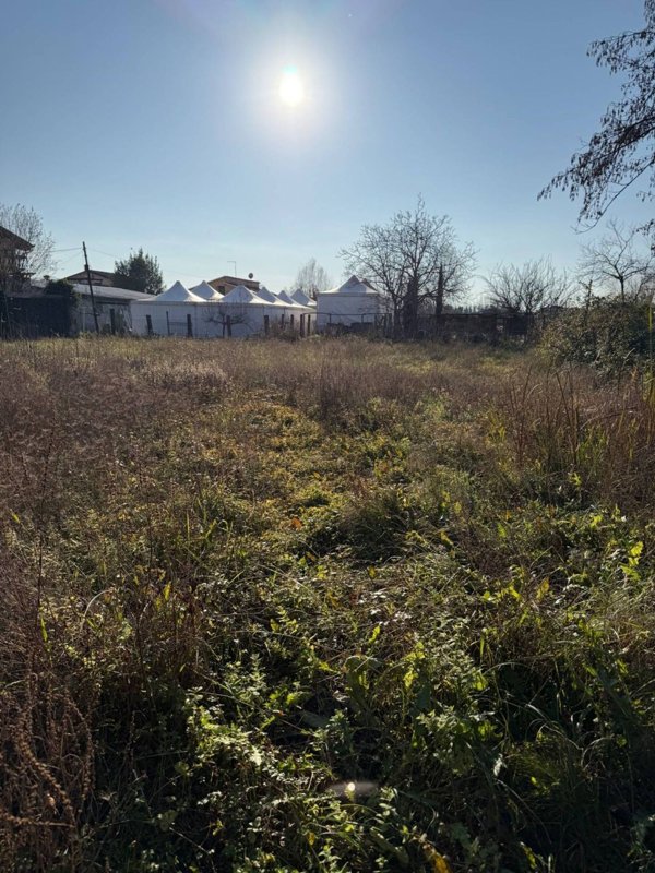 terreno agricolo in vendita a Massa in zona Marina dei Ronchi