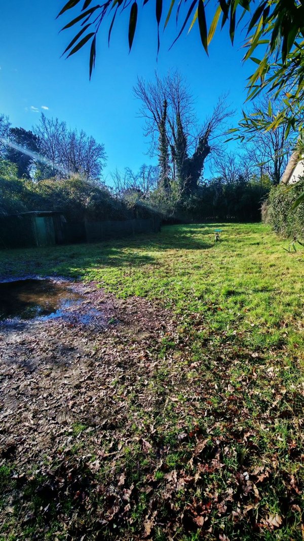 appartamento in vendita a Massa in zona Marina dei Ronchi