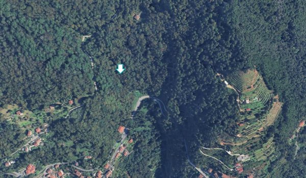terreno agricolo in vendita a Massa in zona Bargana