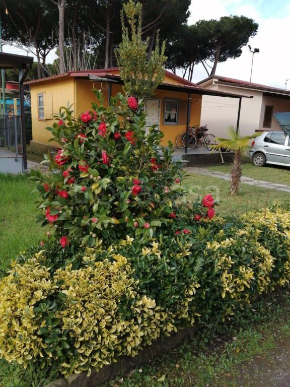 casa indipendente in vendita a Massa in zona Marina di Massa