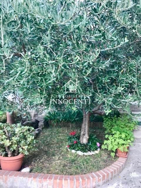 intera palazzina in vendita a Massa in zona Centro Storico