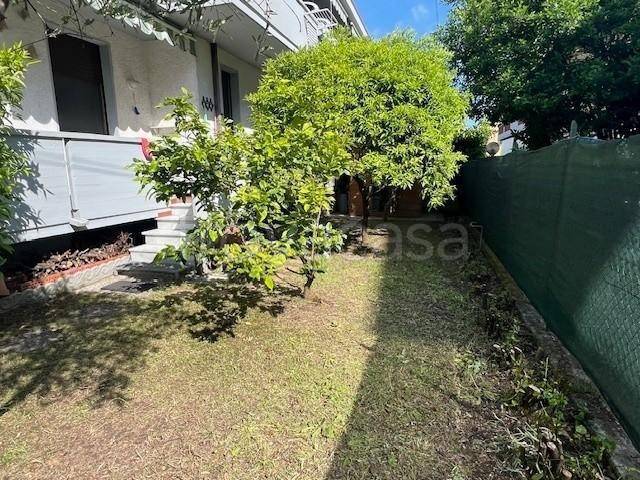 appartamento in vendita a Massa in zona Quercioli