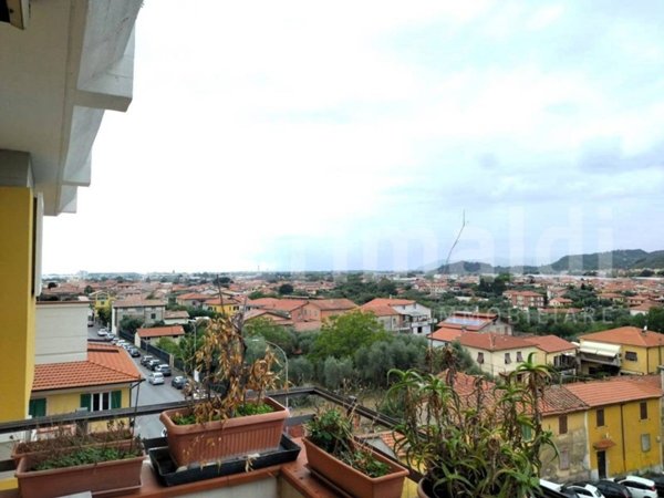 appartamento in vendita a Massa in zona Centro Storico