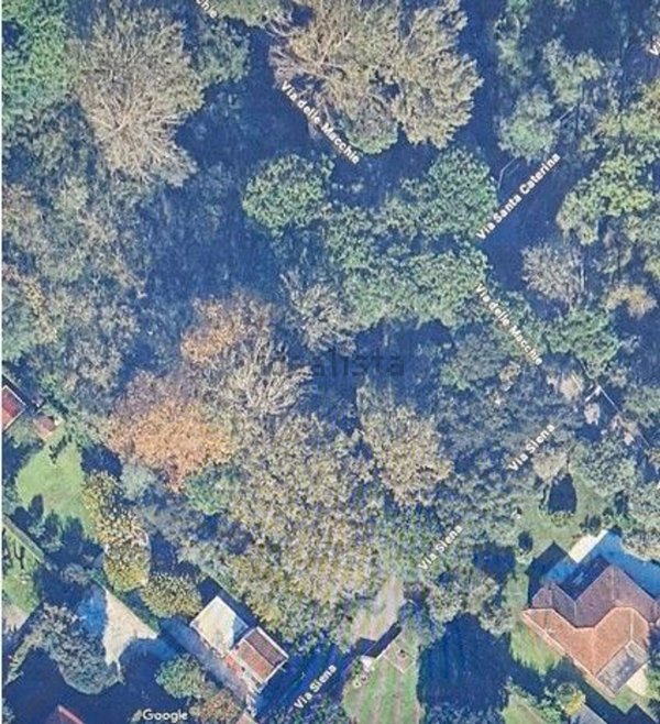 terreno agricolo in vendita a Massa in zona Marina dei Ronchi