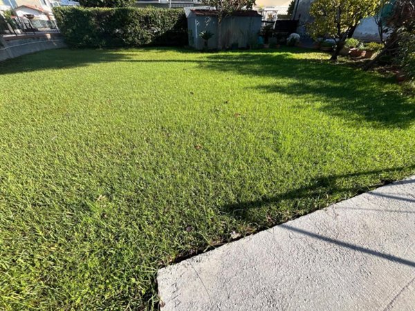 casa indipendente in vendita a Massa in zona Marina di Massa