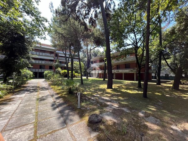 appartamento in vendita a Massa in zona Marina dei Ronchi