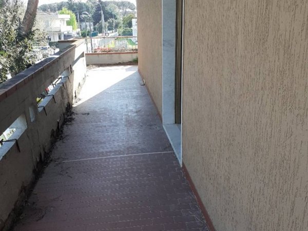 appartamento in vendita a Massa in zona Marina dei Ronchi