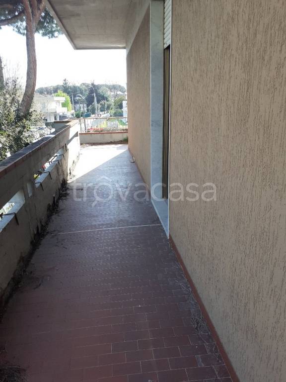 appartamento in vendita a Massa in zona Centro Storico