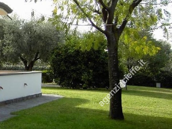 casa indipendente in vendita a Massa in zona Centro Storico