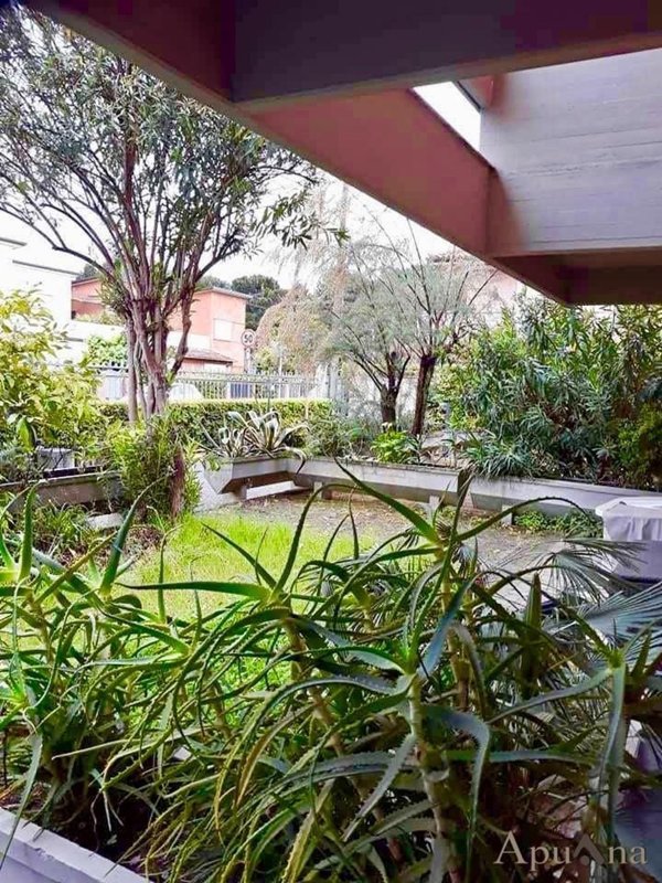 appartamento in vendita a Massa in zona Marina dei Ronchi