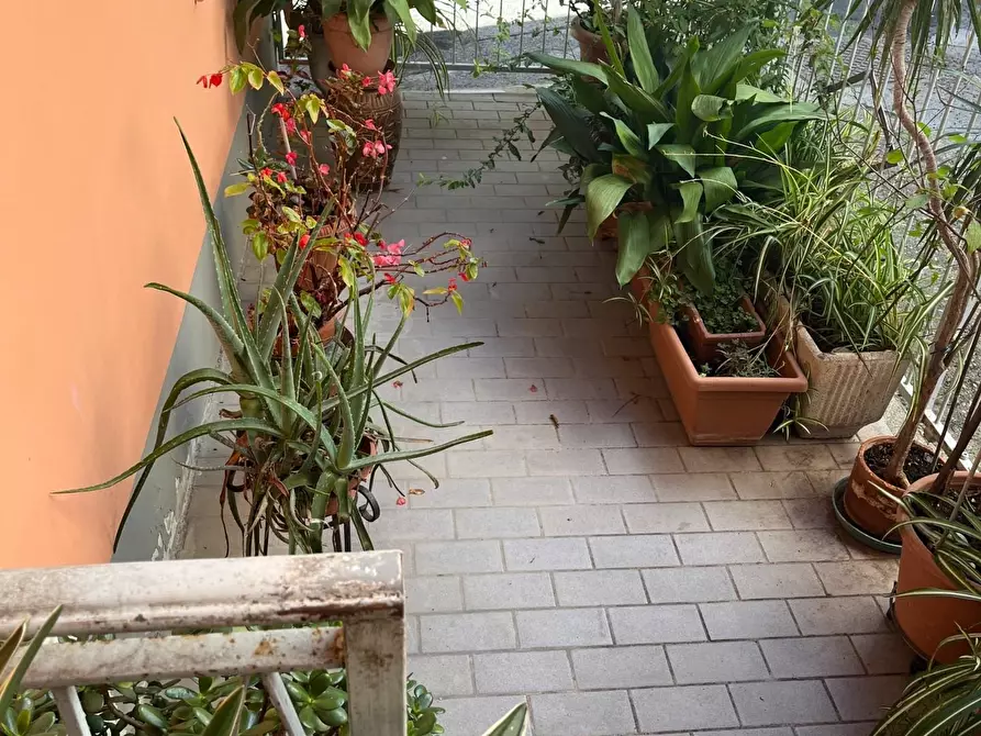 casa indipendente in vendita a Massa in zona Centro Storico