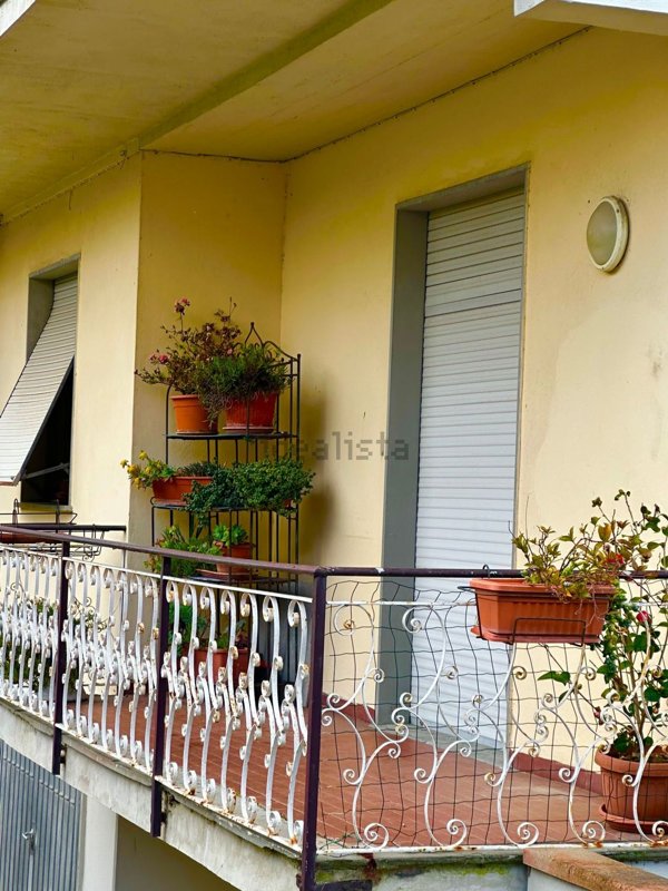 appartamento in vendita a Massa in zona Marina dei Ronchi