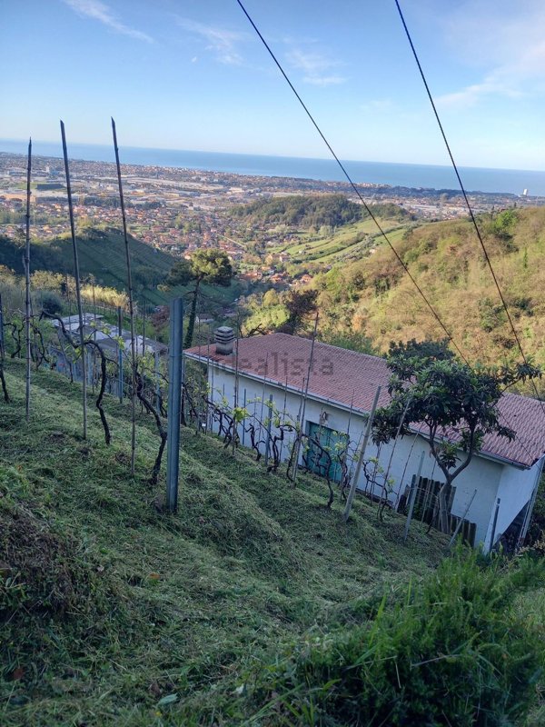 appartamento in vendita a Massa in zona Candia