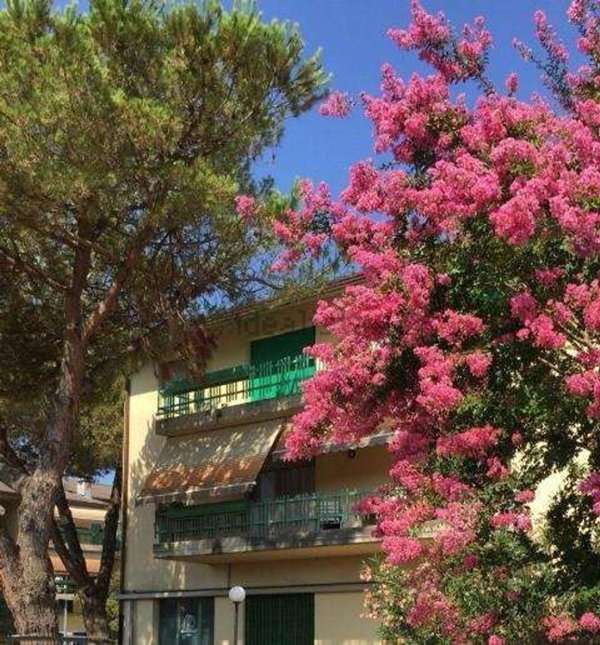 appartamento in vendita a Massa in zona Marina dei Ronchi