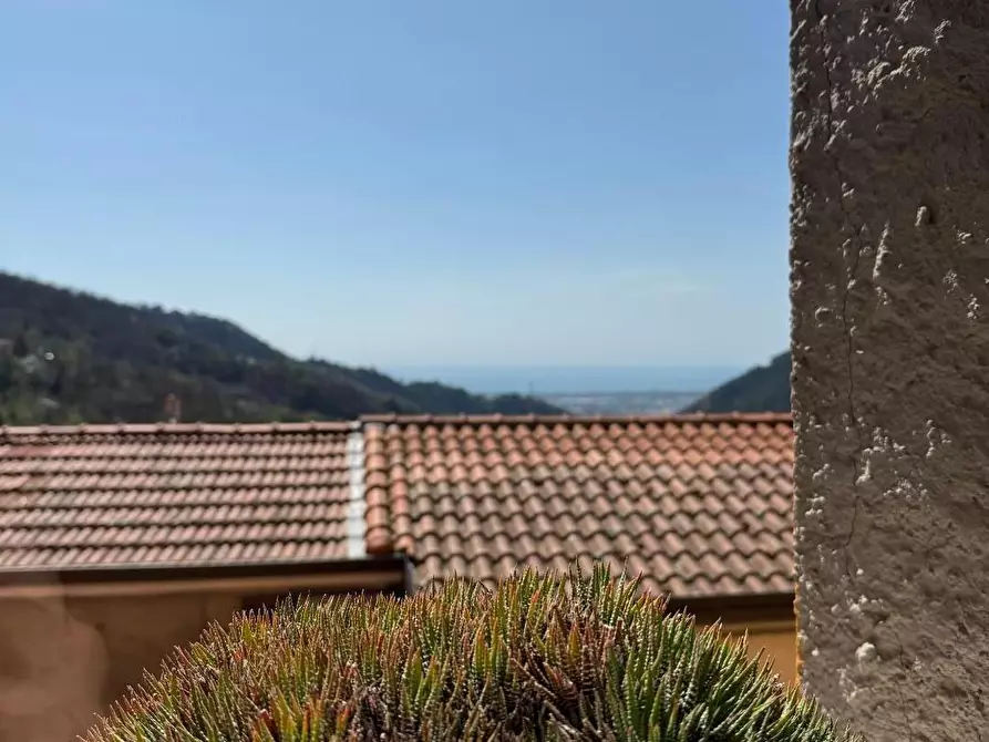 casa indipendente in vendita a Massa in zona Altagnana