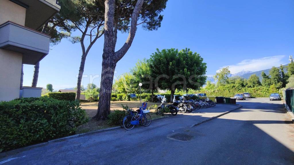 appartamento in vendita a Massa in zona Marina dei Ronchi
