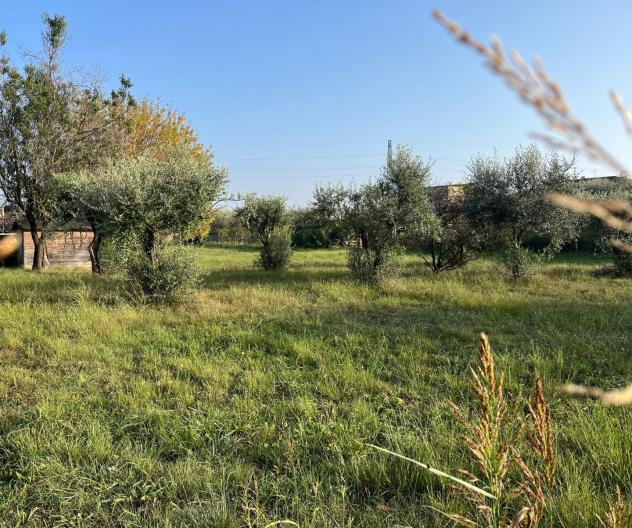 terreno agricolo in vendita a Massa in zona Centro Storico