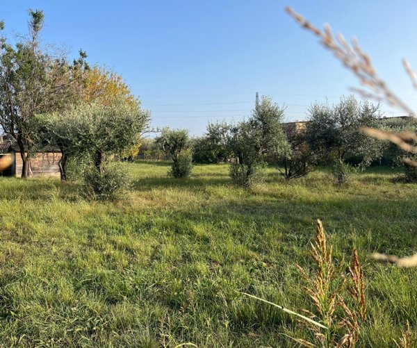 terreno agricolo in vendita a Massa