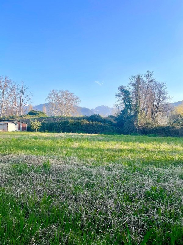 terreno agricolo in vendita a Massa in zona Marina dei Ronchi