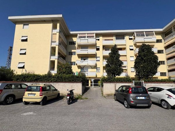 appartamento in vendita a Massa in zona Mirteto