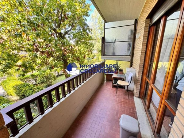 appartamento in vendita a Massa in zona Marina dei Ronchi