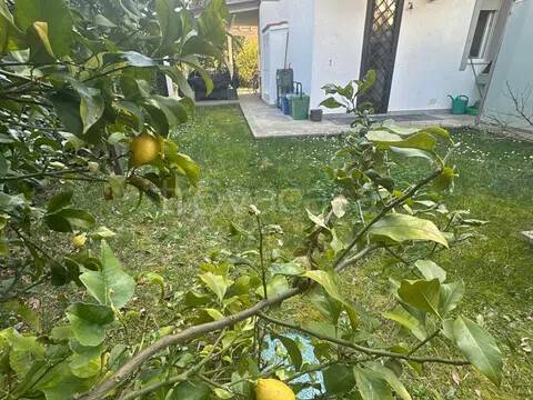 casa indipendente in vendita a Massa in zona Poveromo