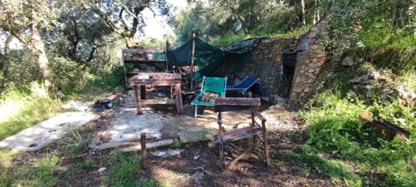 terreno agricolo in vendita a Massa