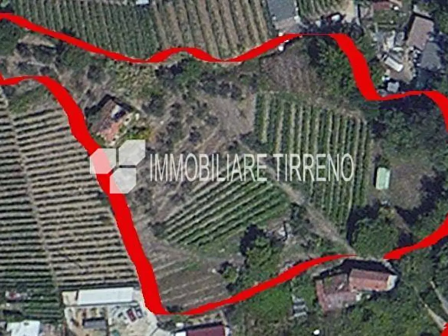 casa indipendente in vendita a Massa in zona Marina di Massa