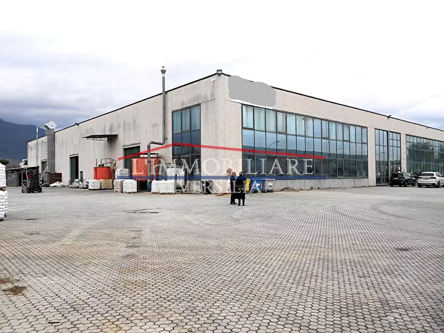 immagine annuncio 0 di 1