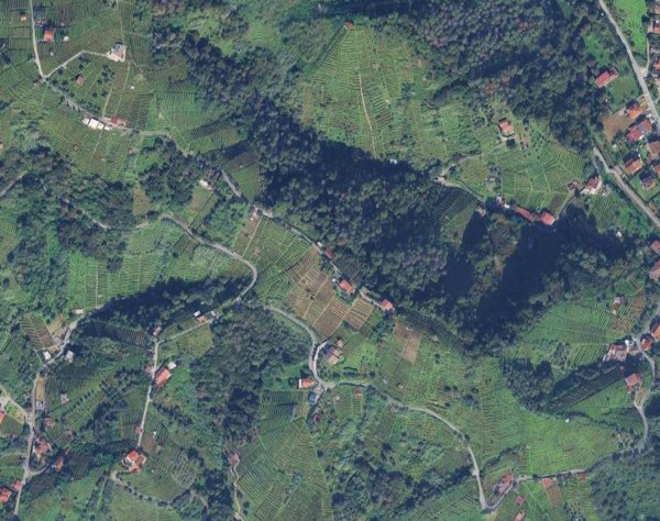 terreno agricolo in vendita a Massa