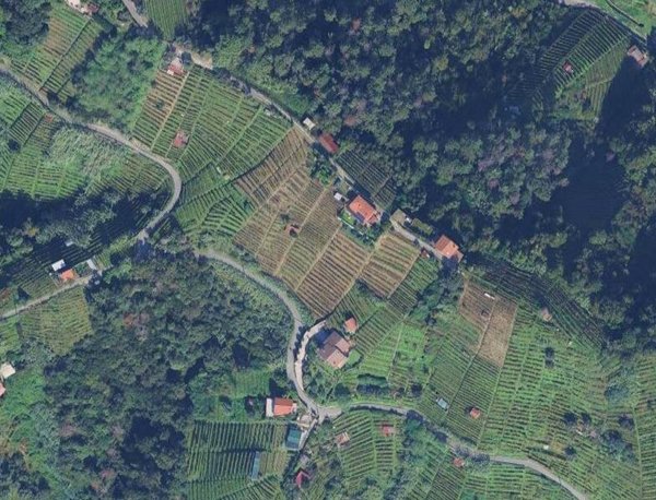 terreno agricolo in vendita a Massa