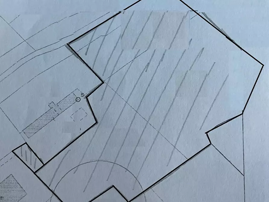 terreno agricolo in vendita a Massa in zona Romagnano