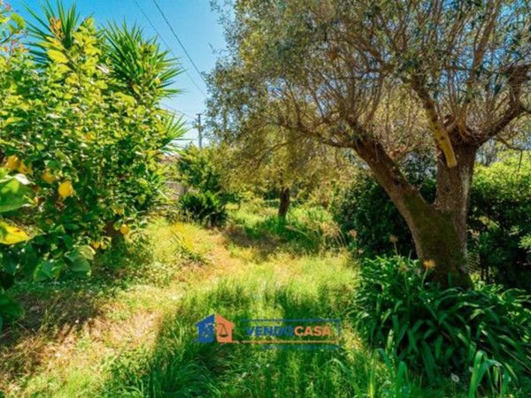 terreno agricolo in vendita a Massa in zona Marina di Massa