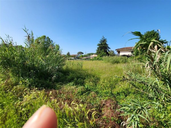 terreno agricolo in vendita a Massa in zona Marina dei Ronchi