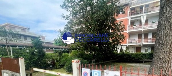 locale di sgombero in vendita a Massa in zona Marina dei Ronchi