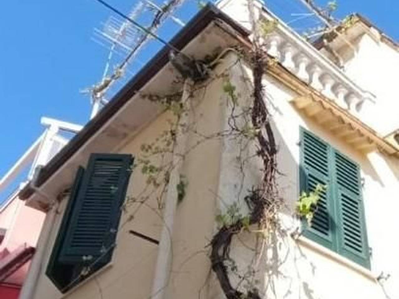 casa indipendente in vendita a Massa in zona Centro Storico