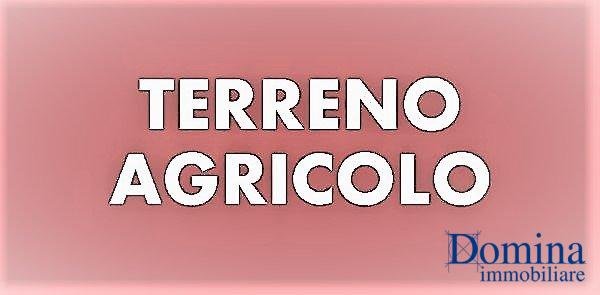 terreno agricolo in vendita a Massa in zona Marina dei Ronchi