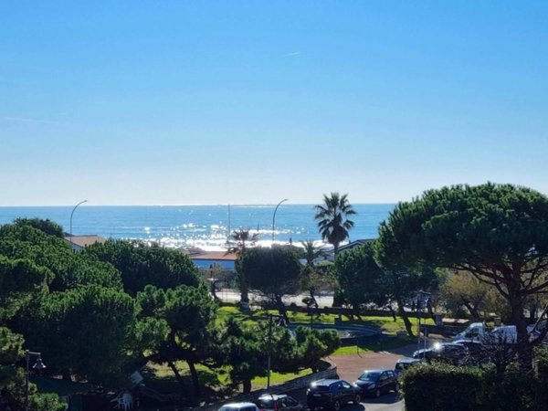 appartamento in vendita a Massa in zona Marina dei Ronchi