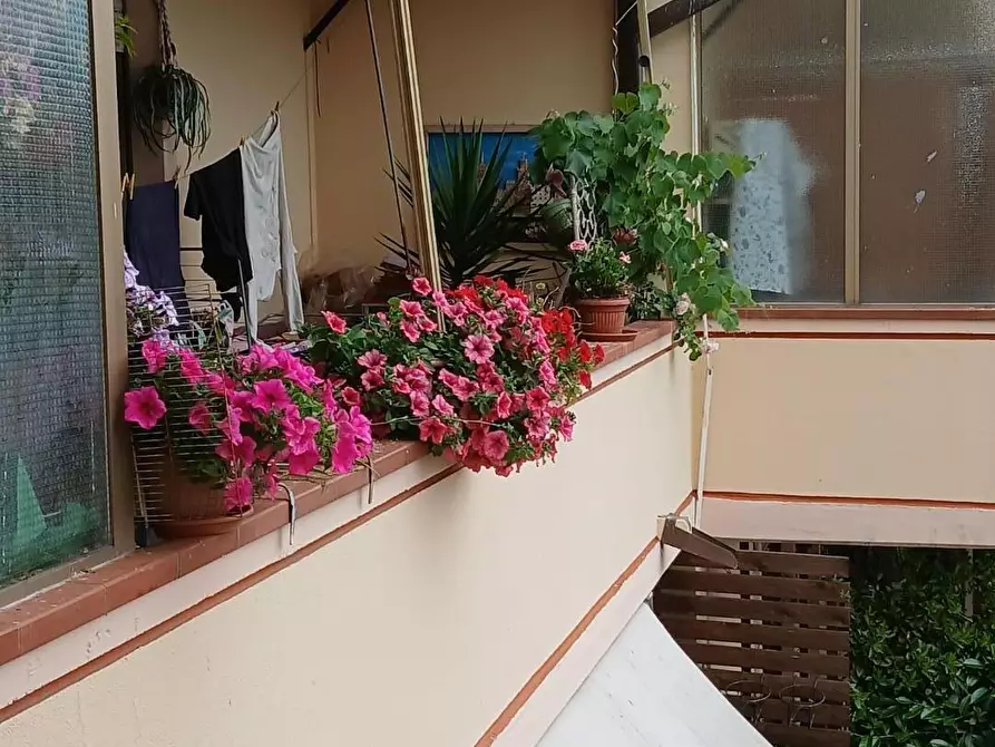 appartamento in vendita a Massa in zona Centro Storico