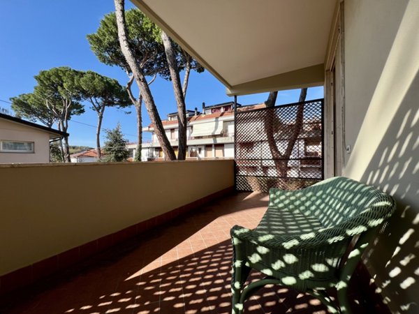 appartamento in vendita a Massa in zona Marina dei Ronchi