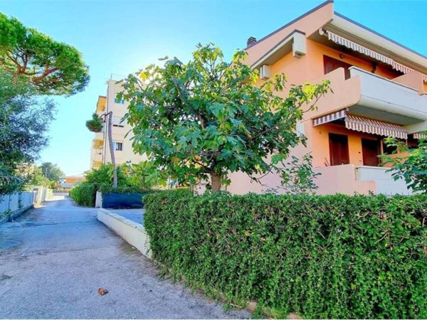 casa indipendente in vendita a Massa in zona Marina di Massa