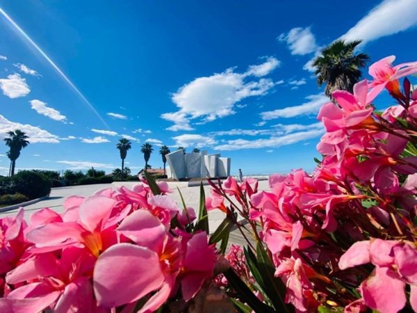 appartamento in vendita a Massa in zona Marina di Massa